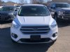 2019 Ford Escape SE Oxford White, Viroqua, WI