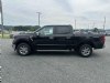 2024 Ford F-150 XLT Black, Boscobel, WI