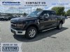 2024 Ford F-150 XLT Black, Boscobel, WI