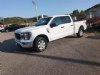 2023 Ford F-150 - Boscobel - WI