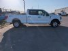 2023 Ford F-150 XLT White, Boscobel, WI